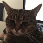 Рисунок профиля (BaTMaN)