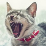 Рисунок профиля (menzelev)