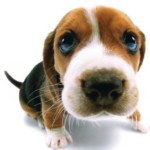 Рисунок профиля (SergMax)