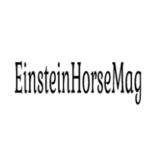 Рисунок профиля (Einsteinhorsemag)