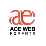 Рисунок профиля (Ace Web Experts)